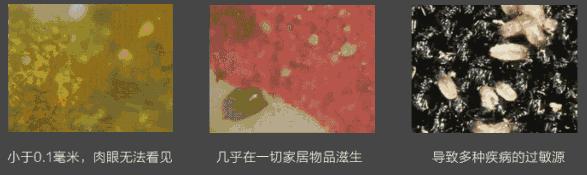 为什么能从鼻头上挤出白色的东西,鼻子挤出来的白丝是什么