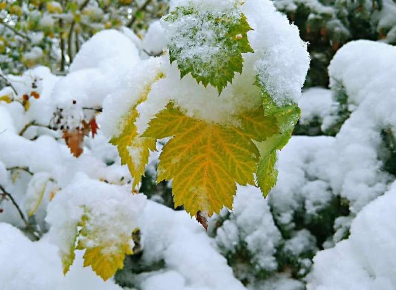游·达坂城｜下雪了，一起来达坂城看美景~