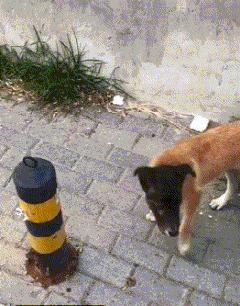 ▶昨天老妈教弟弟做作业，我弟不动脑筋思考，每道题都问...