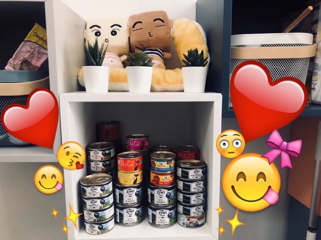 11.11宠物必买清单丨盘点那些被无限回购的萌宠爱用品