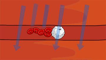 千万别信这些养生方法视频,千万别信这些养生方法都是骗人的