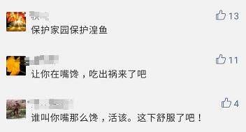 炖二级保护动物,还敢发短视频!这位网友火的很特别……