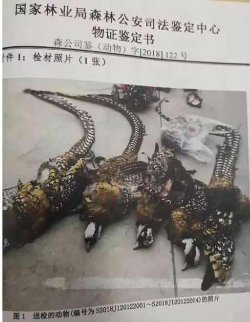 有人煮了几条鱼，发了个短视频，摊上大事了！