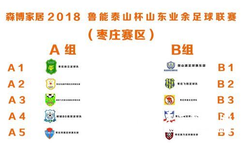 2016鲁能泰山杯公示,鲁能泰山杯临沂赛区