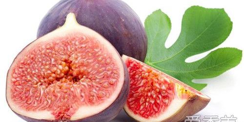 无花果可以放冰箱保存吗,无花果能不能冰冻保存