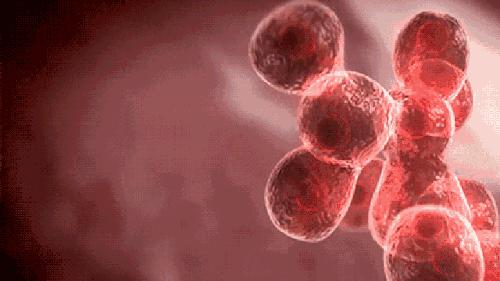 快来围观健康的科普,和你有关的健康小知识