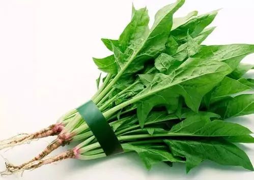 食品抽检菌落超标原因,购买的食品菌落总数超标投诉