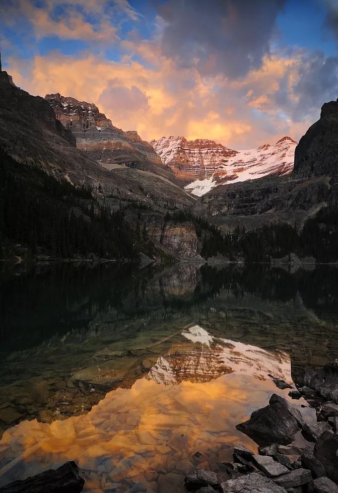 阿尔卑斯凭什么这么火,阿尔卑斯为啥代表爱情