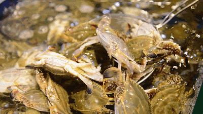 玉林侬，冲鸭！北海8月16日开海，教你在哪里买海鲜最新鲜，最实惠~