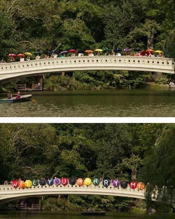 求婚遇到哪些奇葩的事,那些奇葩的求婚