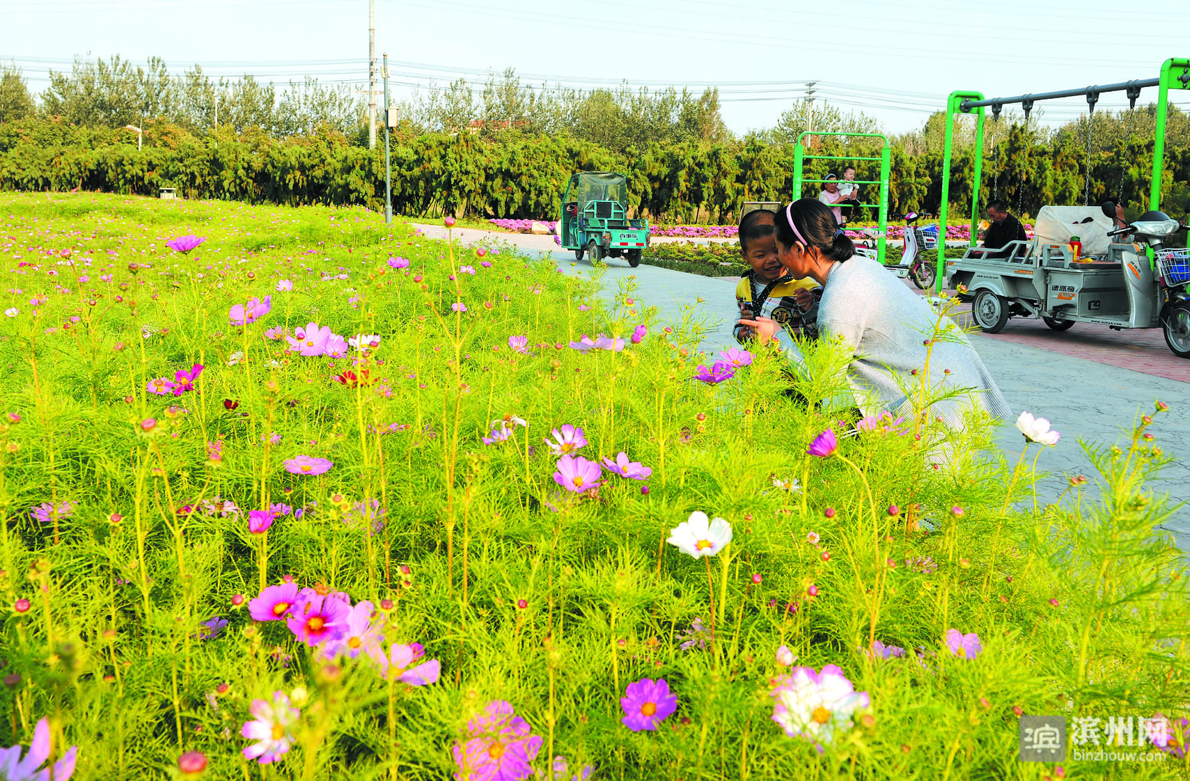 称赞滨州这座城市很美,中国最具幸福感城市2018