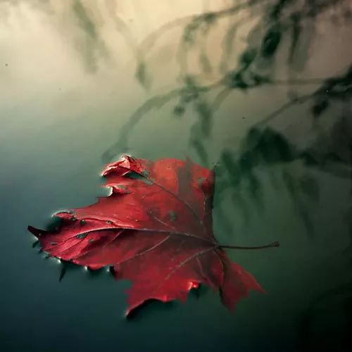 书讯最新消息,书讯大全免费阅读