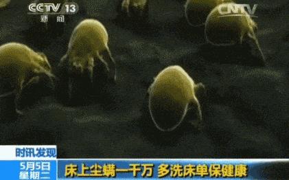 给长乐公主准备嫁妆比彩礼多,长乐女结婚嫁妆一般多少