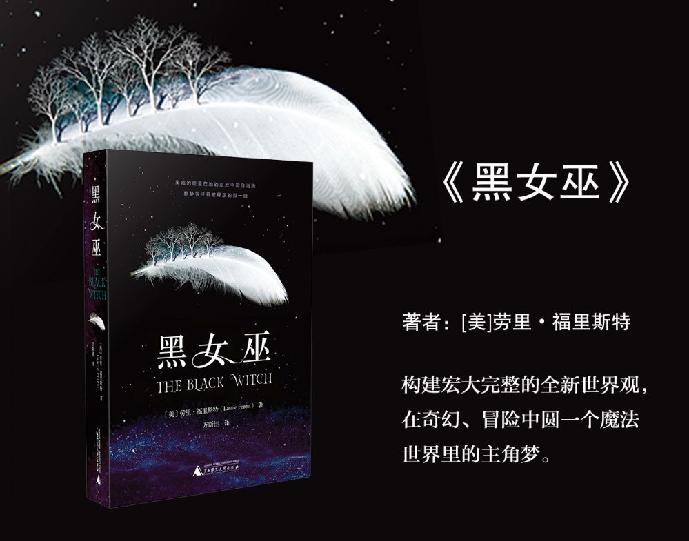 广西师范大学出版社精选书单,广西师大出版社2021好书