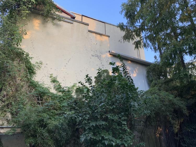 苹果xr一天的测评,iphonexr一天两充正常吗