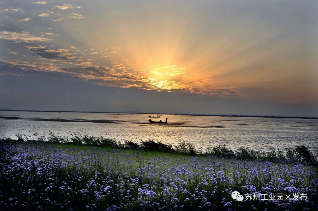 连续三年包揽前三,连续8年蝉联全球第一