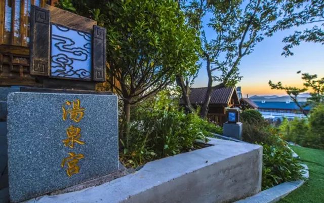 北方最大的银杏林在哪里,中国最大面积的银杏树林在哪里