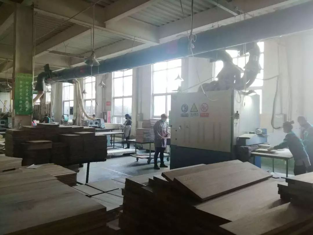 木不雕不成材,木不雕不成材下一句