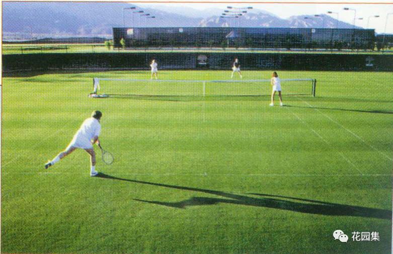 公园草坪怎么养护效果最好,公园草坪管理养护