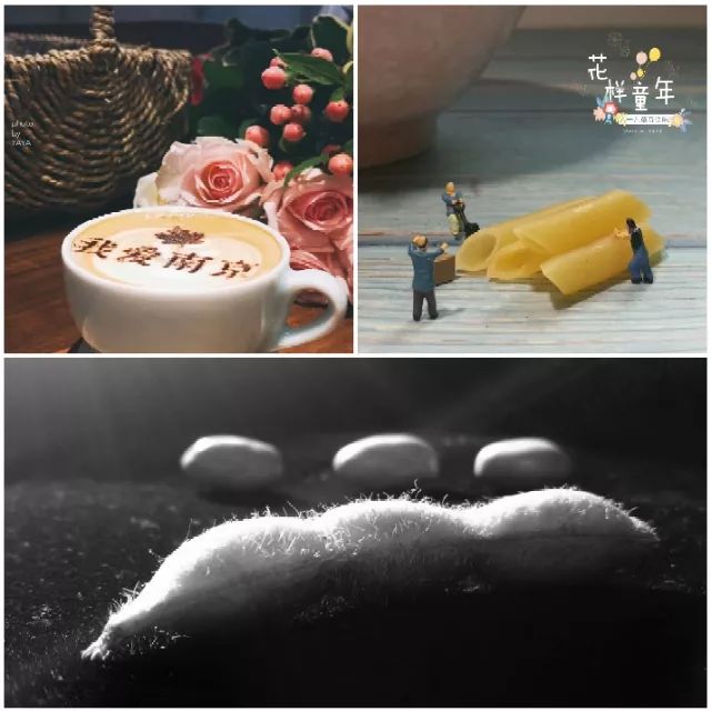 零基础摄影学习培训,全面技能提升训练营