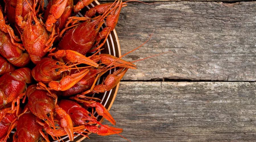 真的没有食物能治愈癌症吗,没有食物能防癌10条谣言