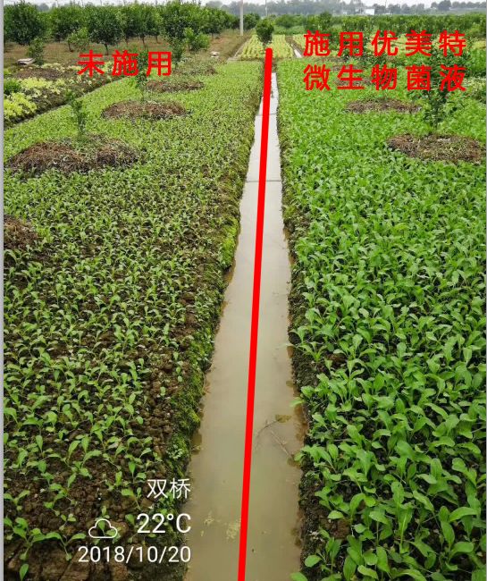 优美特水溶肥料价格,优美特化肥