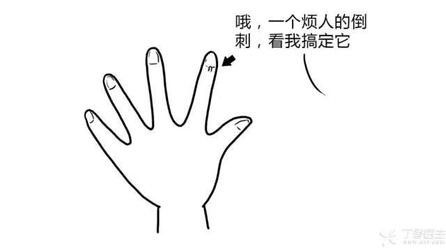 指甲上的月牙少是不健康的表现吗,指甲上月牙白越来越少是怎么回事