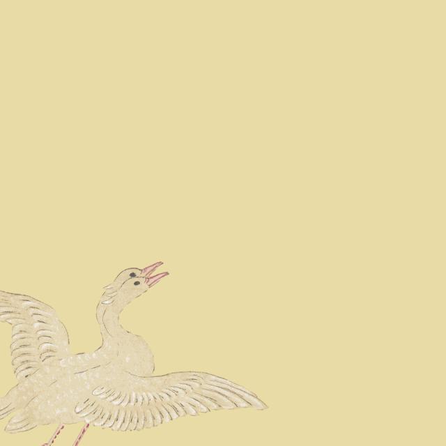 奇书山海经之谜,旷世奇书书籍大全