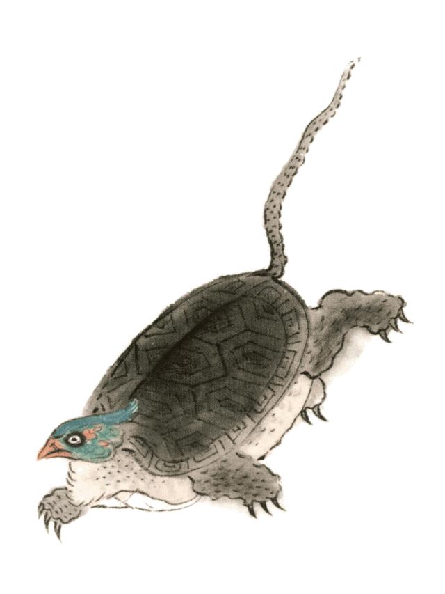 奇书山海经之谜,旷世奇书书籍大全