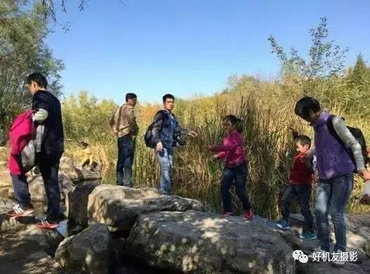 手机摄影制作创作灵感,手机摄影制作实操