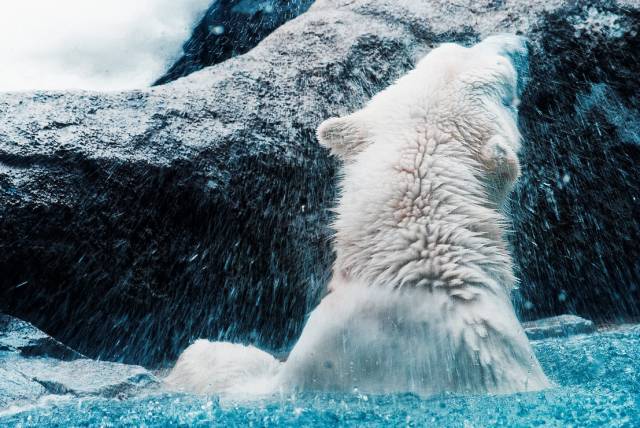 日本成为真正的购物天堂,日本购物或成购物天堂