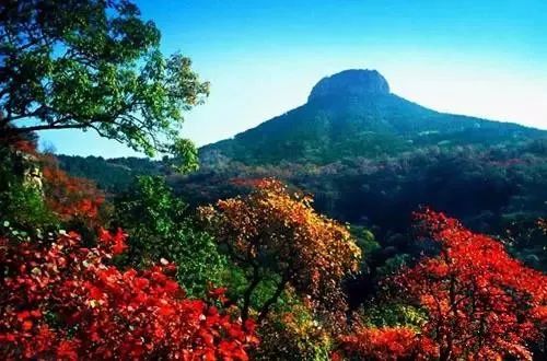 兄dei，你有一份最美赏红叶推荐请注意查收