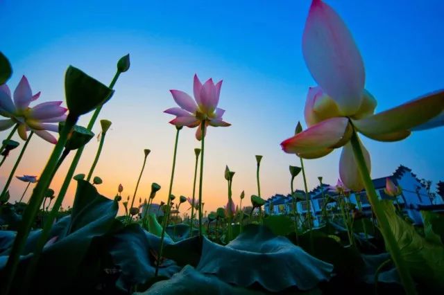 你的姓氏里也藏着一句最美的情话,姓氏的句子唯美短句