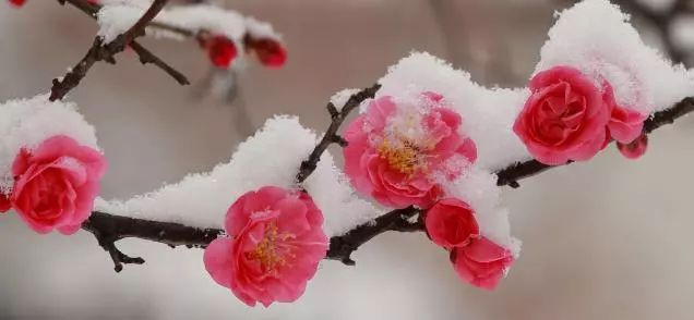 你的姓氏里也藏着一句最美的情话,姓氏的句子唯美短句