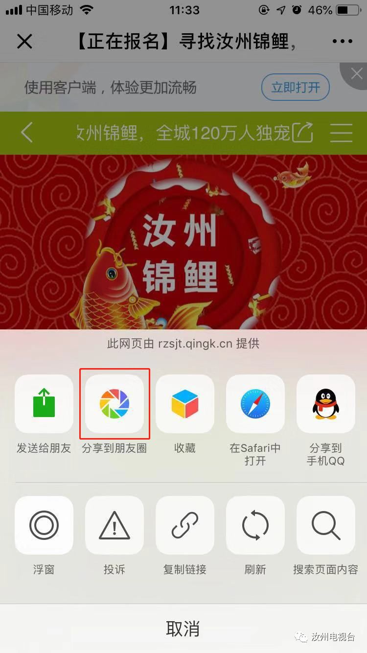小锦鲤真喜庆,实不相瞒吉利