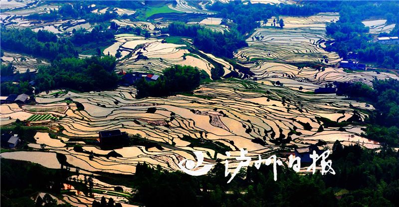 三大产业高质量发展,叙永县乡村产业发展优势