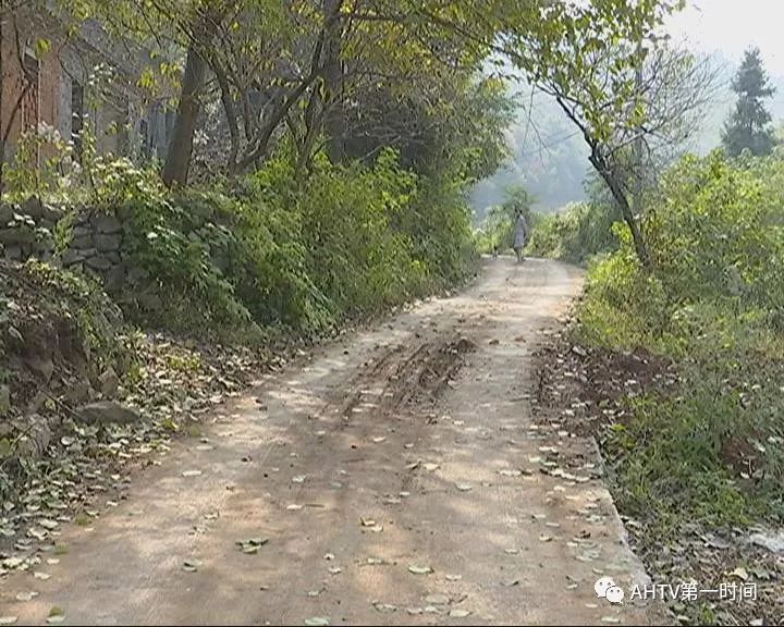 老人被马蜂蜇死人的事件,男子掏马蜂窝被蜇身亡