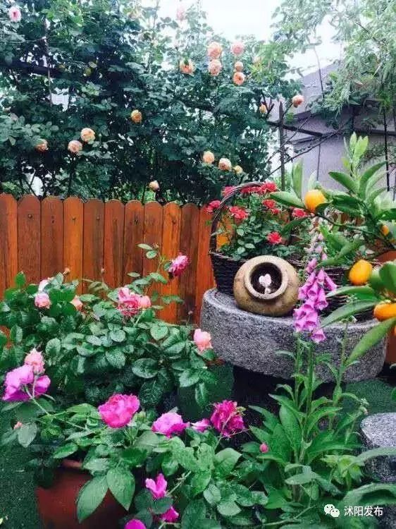 宿迁沭阳：这份“绿色福利”你值得拥有~