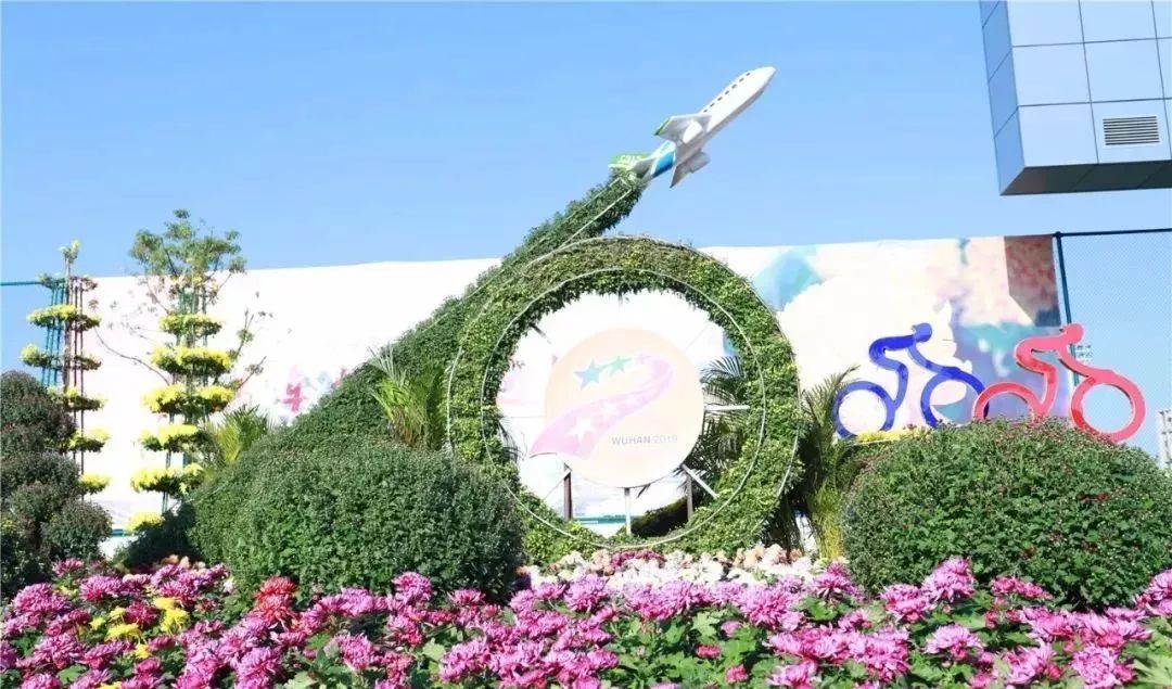 体育中心看展菊,在体育中心玩乐的一天