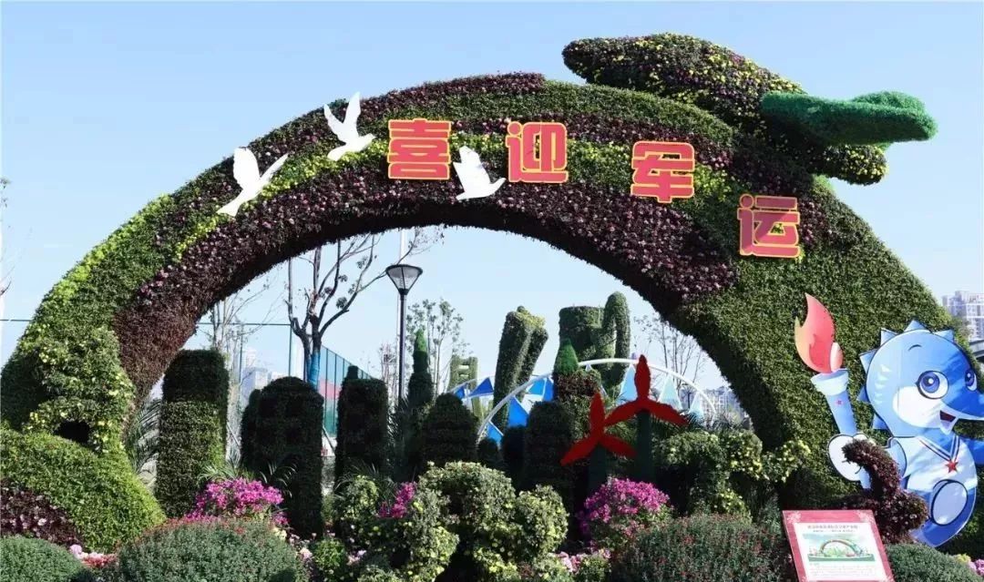 体育中心看展菊,在体育中心玩乐的一天