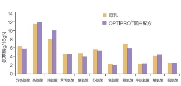 引发澳洲各大媒体争相报道的TA，凭什么可以C位出道？
