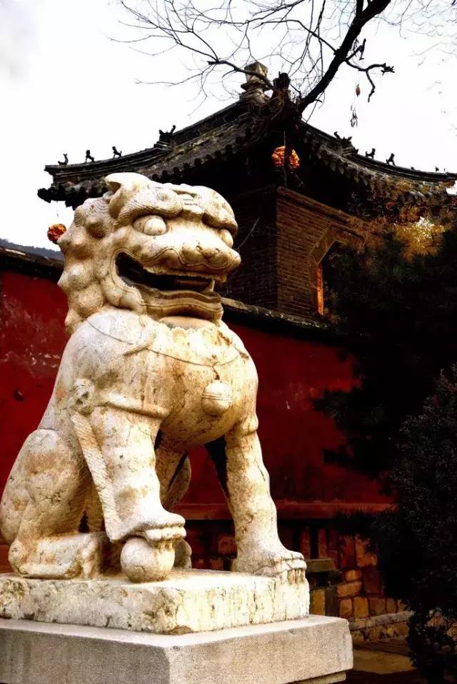 门口石狮子讲究,石狮子公母区别