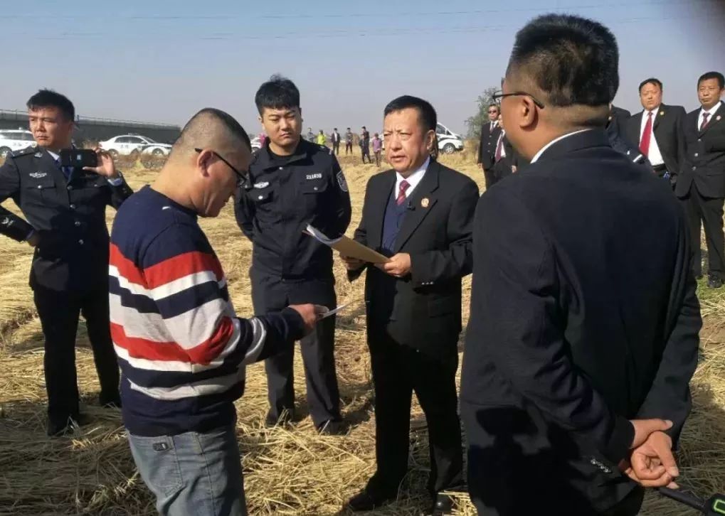 媒体见证执行第13期丨辽阳县法院:制订详细方案保证300亩水稻顺利执行