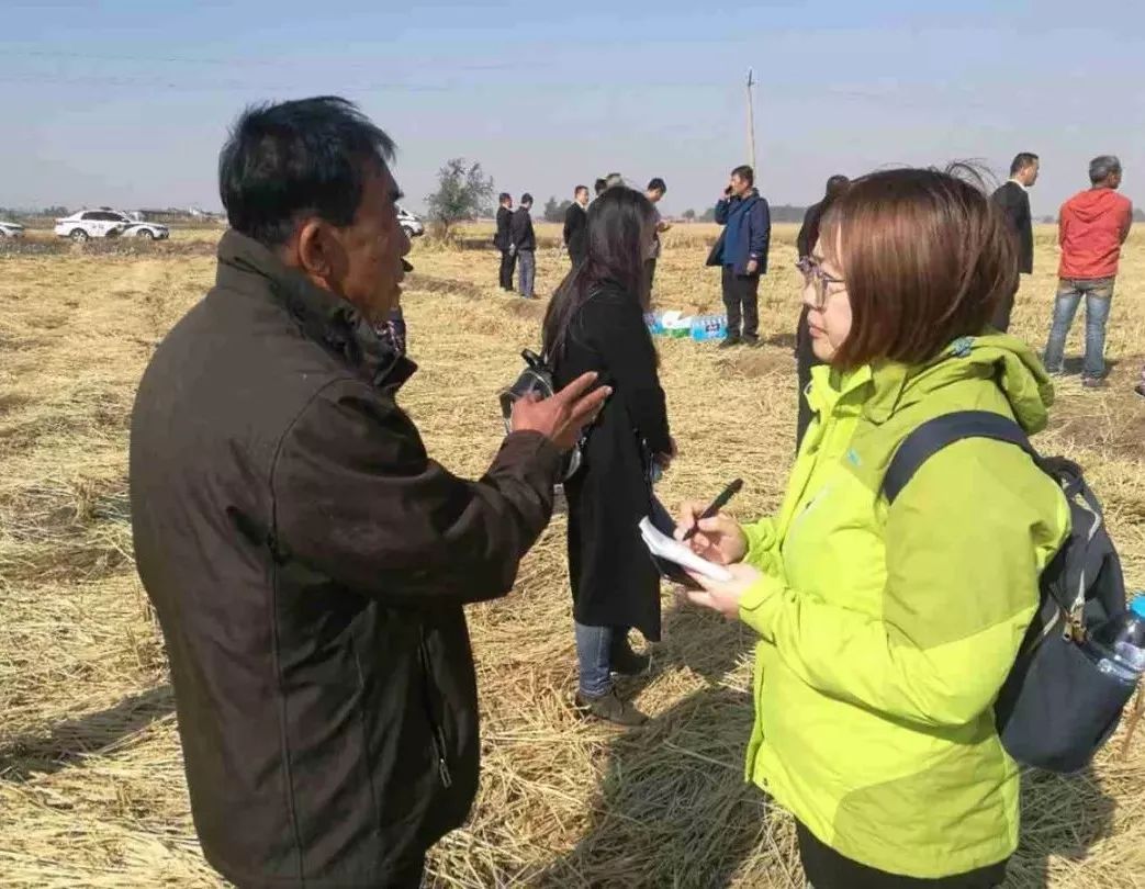 媒体见证执行第13期丨辽阳县法院:制订详细方案保证300亩水稻顺利执行