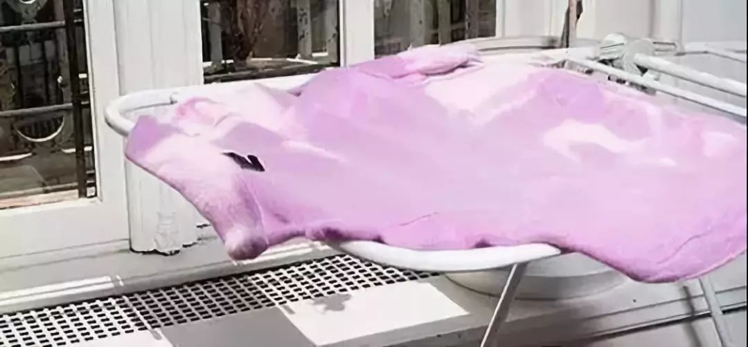 羊毛衣怎么防止掉毛,羊毛衣能用含酶洗衣粉吗