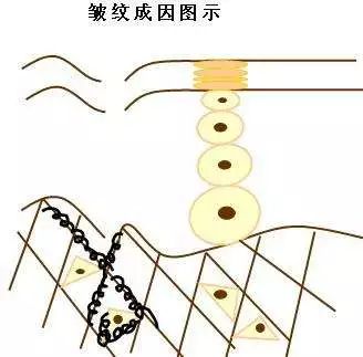 灏忚寕鑲岃瘖瀹ゅ埌搴曟湁澶氬己,灏忚寕鑲岃瘖瀹よˉ姘村悧