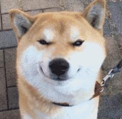 在南宁也可以“海淘”了，美妆奶粉等6.6折，即买即提