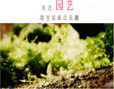 她不上班也不靠脸吃饭，住2层小楼，过上了别人做梦都要的日子！