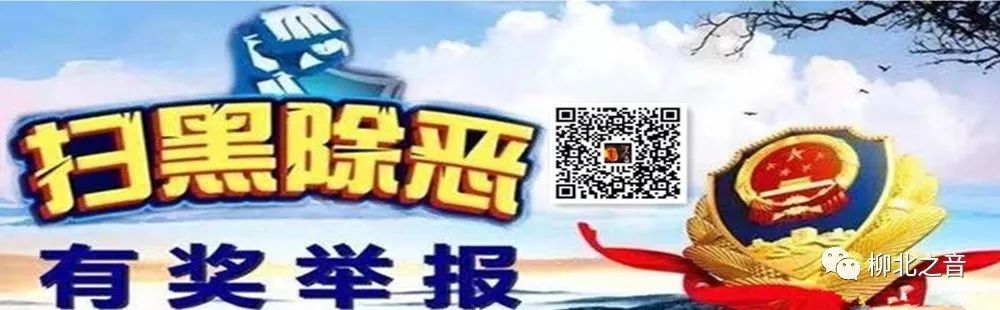 探索教育的未来之路,探索教育之路