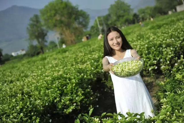 平价超级补水的护肤品,补水纯露国货好物推荐